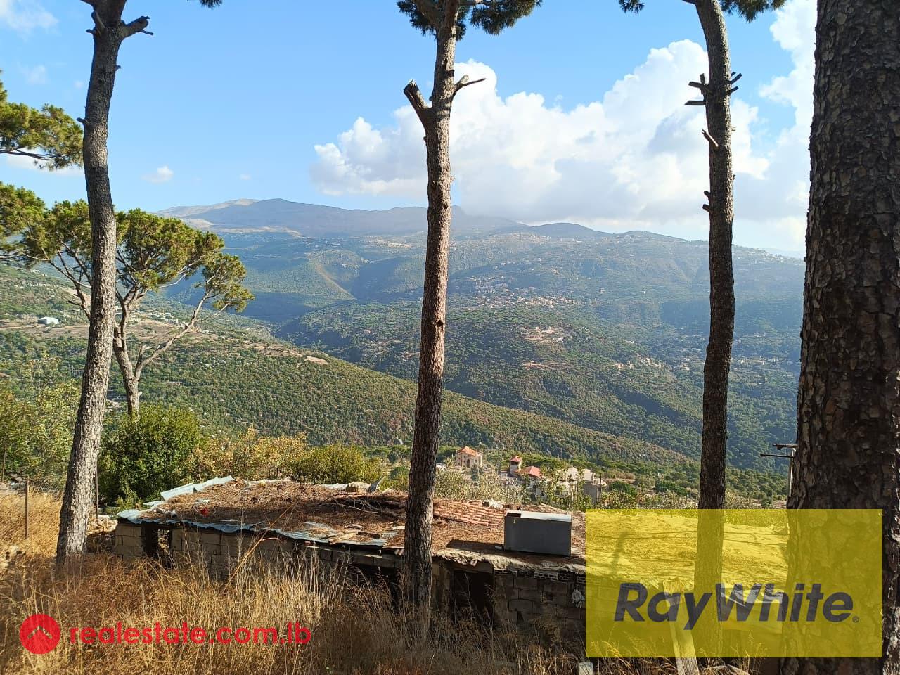 Land for Sale in Kaakour – 1,600 sqm