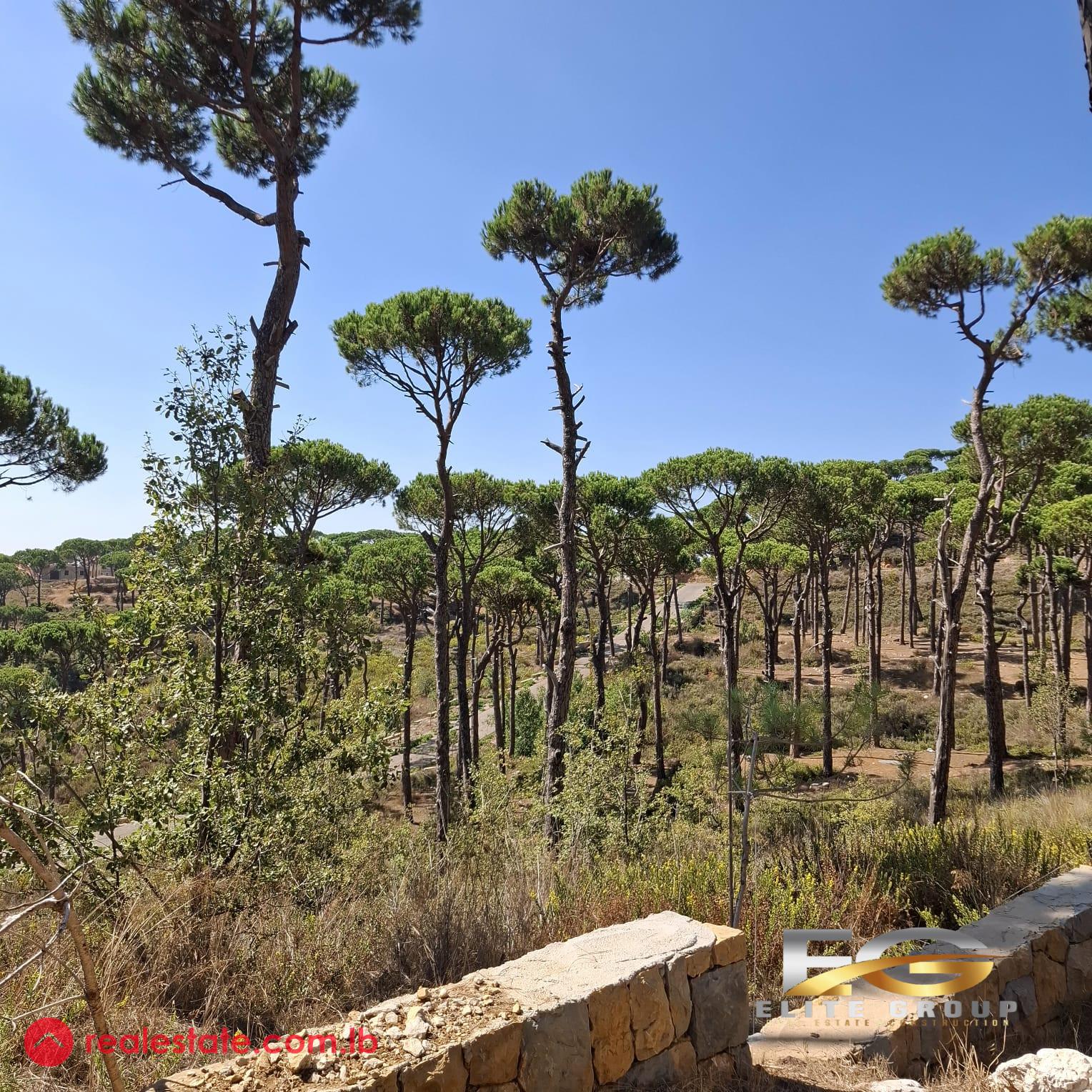 Land for Sale in Ayroun -Dhour Choueir