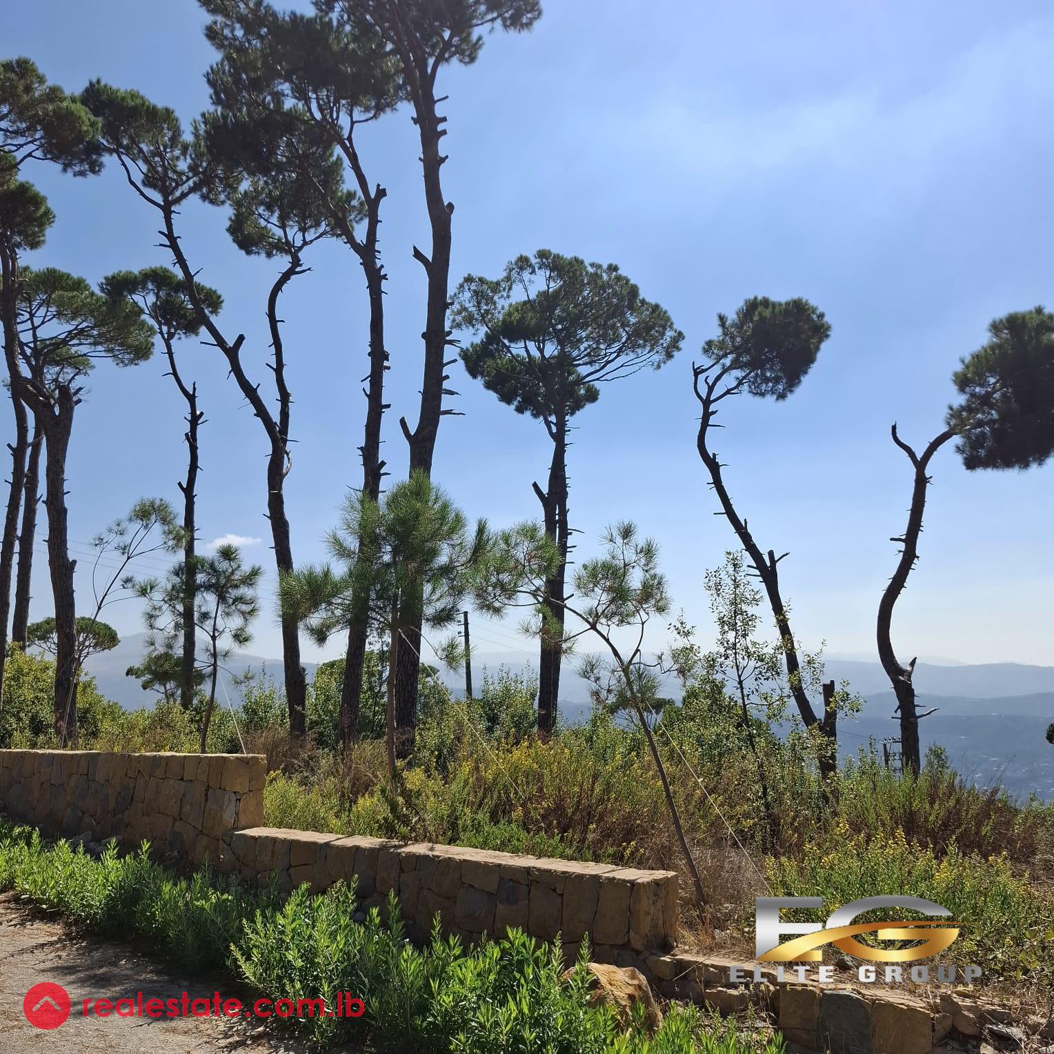 Land for Sale in Ayroun -Dhour Choueir