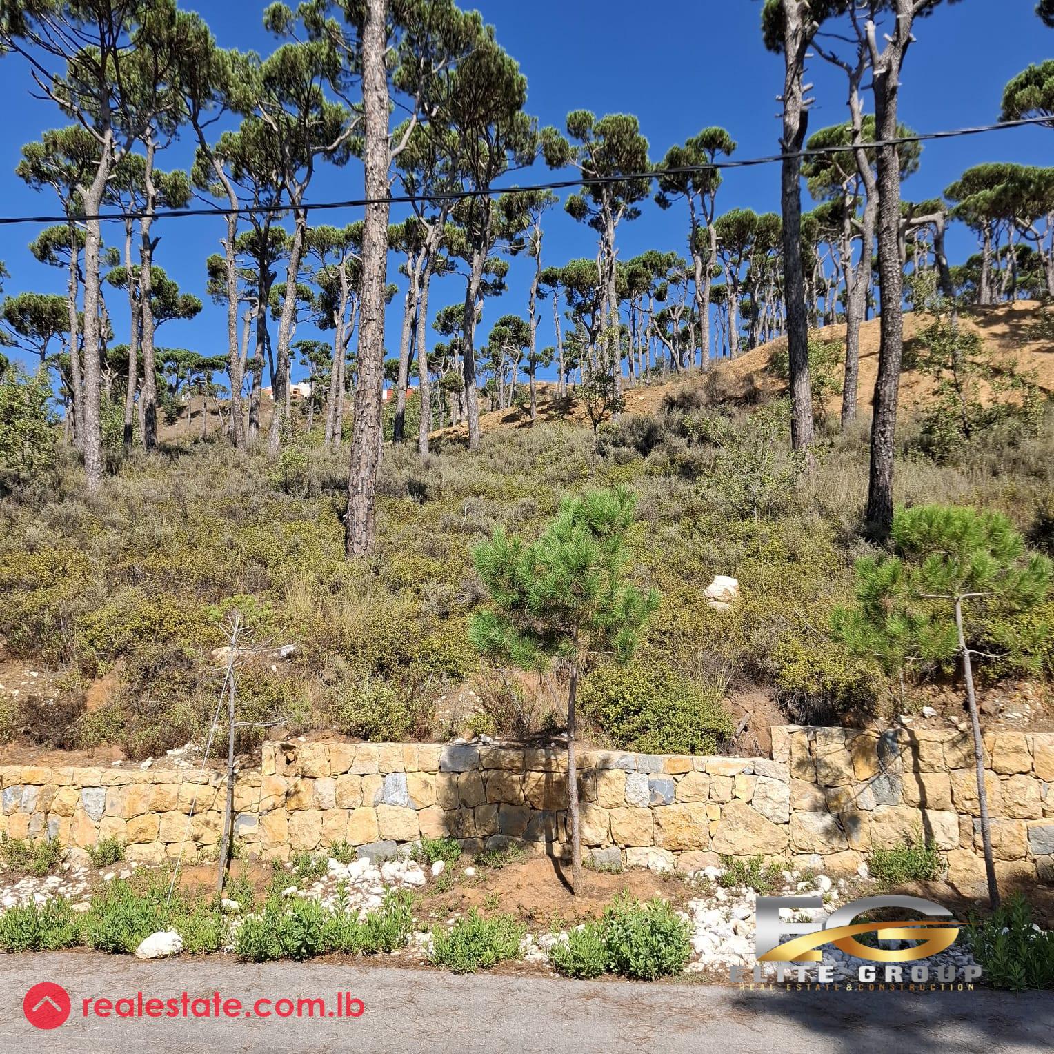 Land for Sale in Ayroun -Dhour Choueir