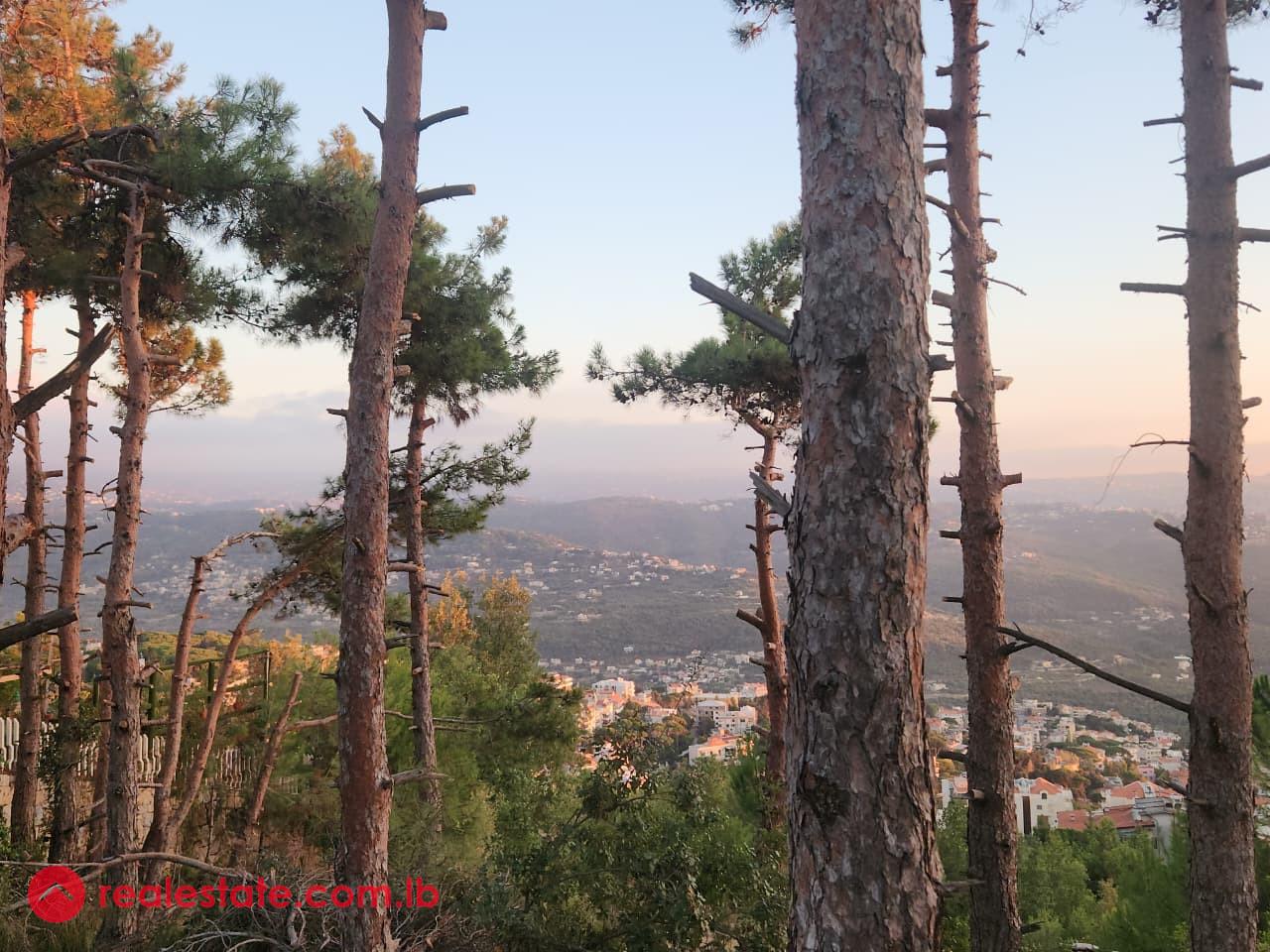 Exceptional Land in Chalimar Baabdat