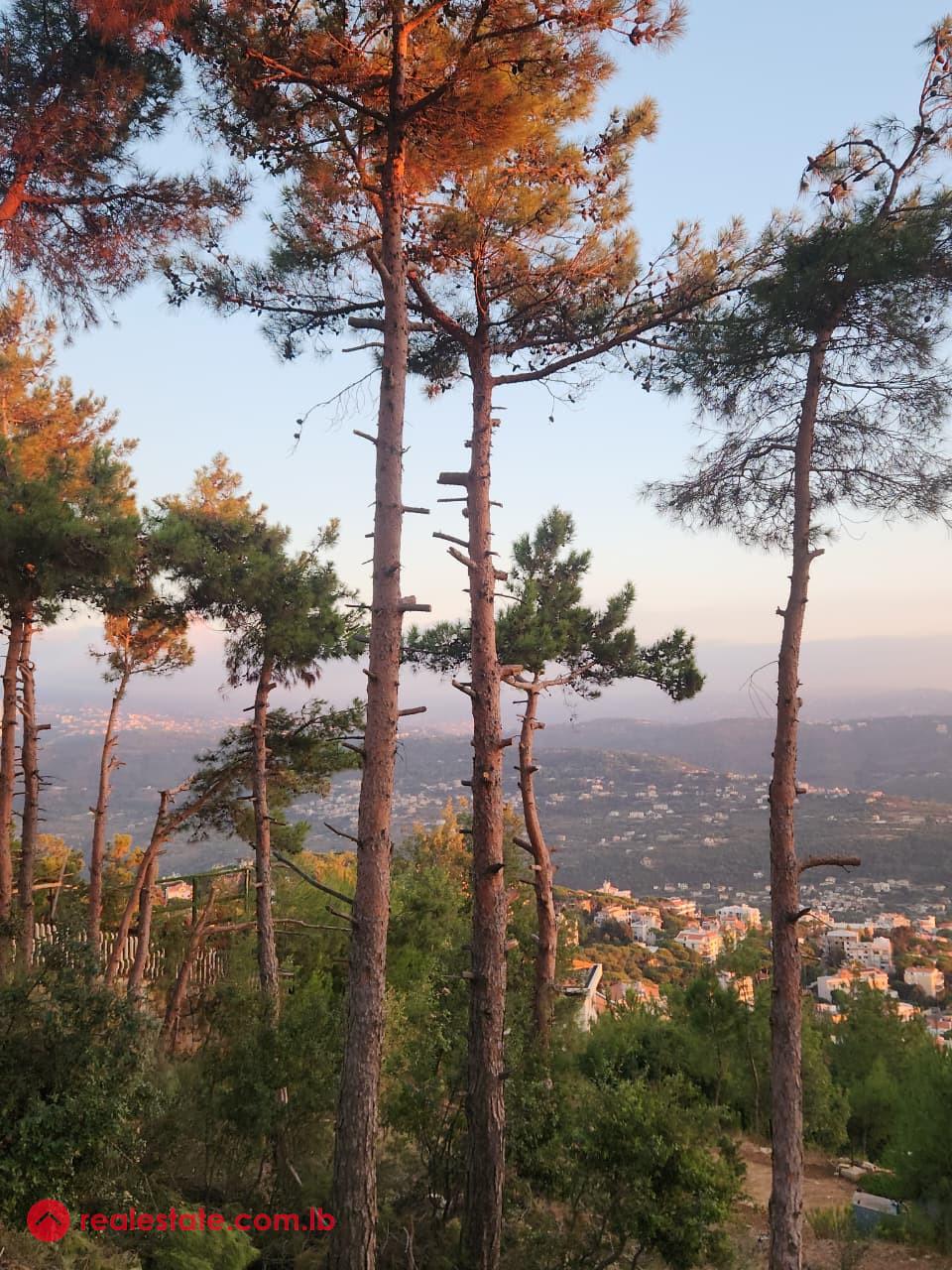 Exceptional Land in Chalimar Baabdat