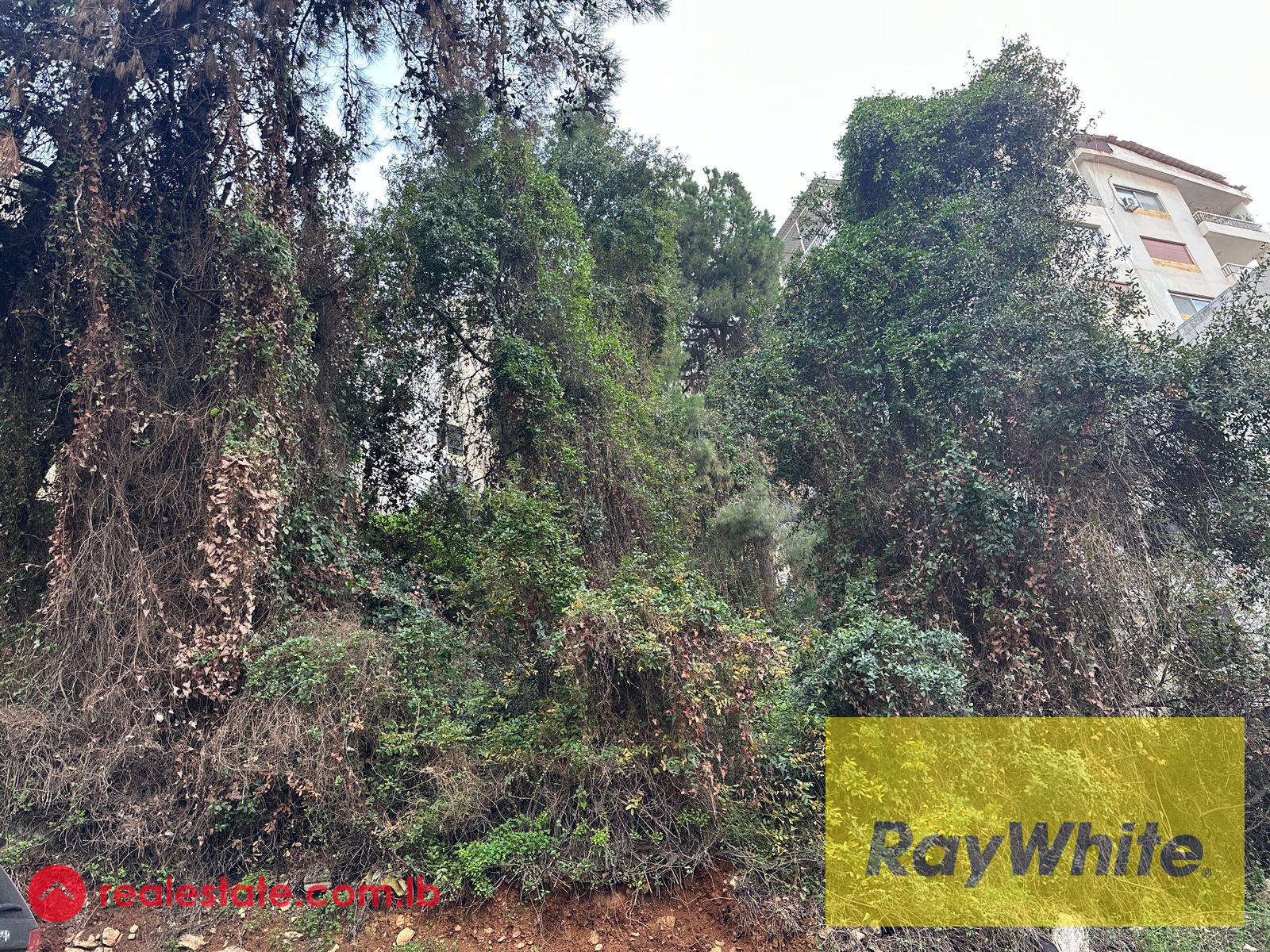 Land for Sale – Beit Al Chaar | 587 sqm