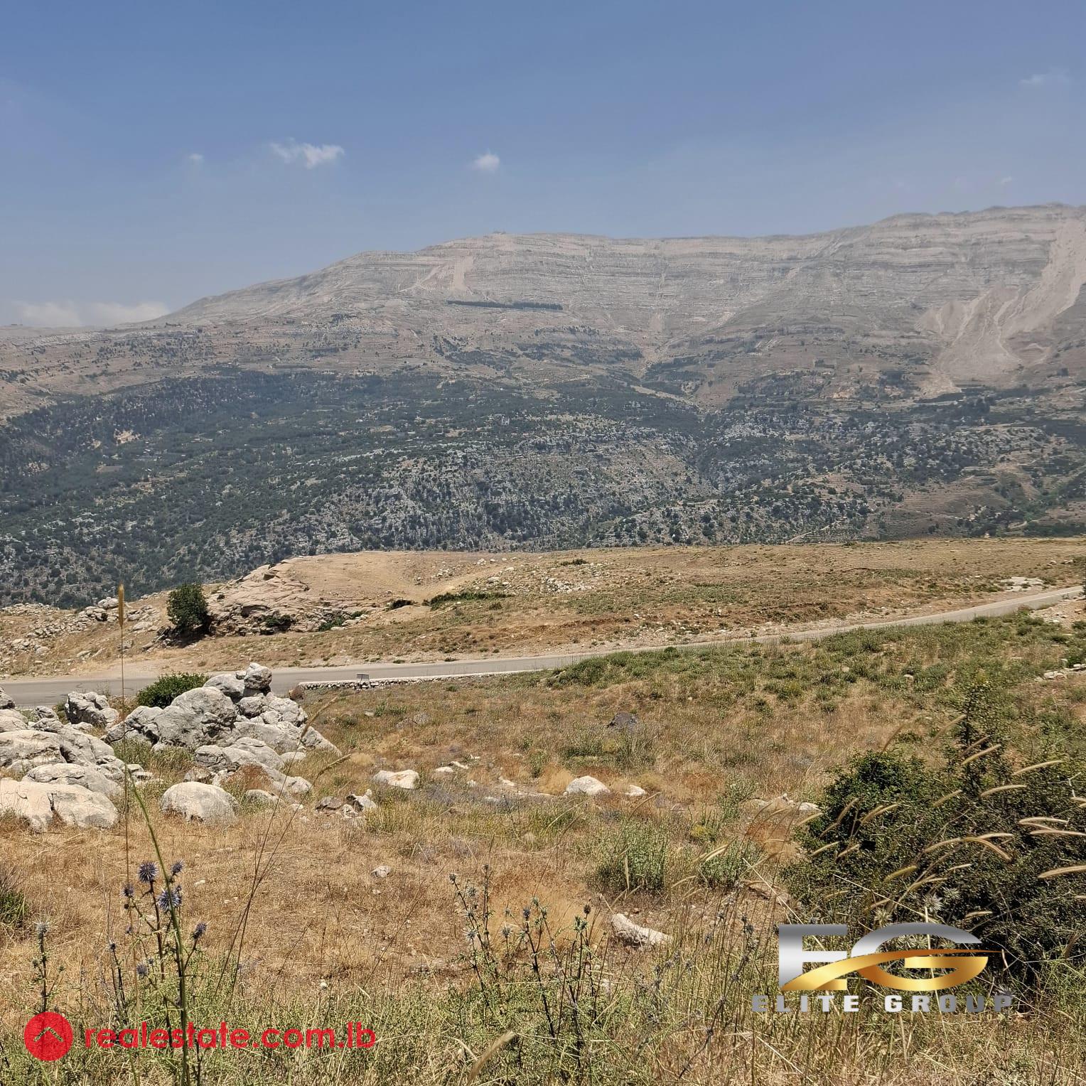 Land in zaarour- 25/50