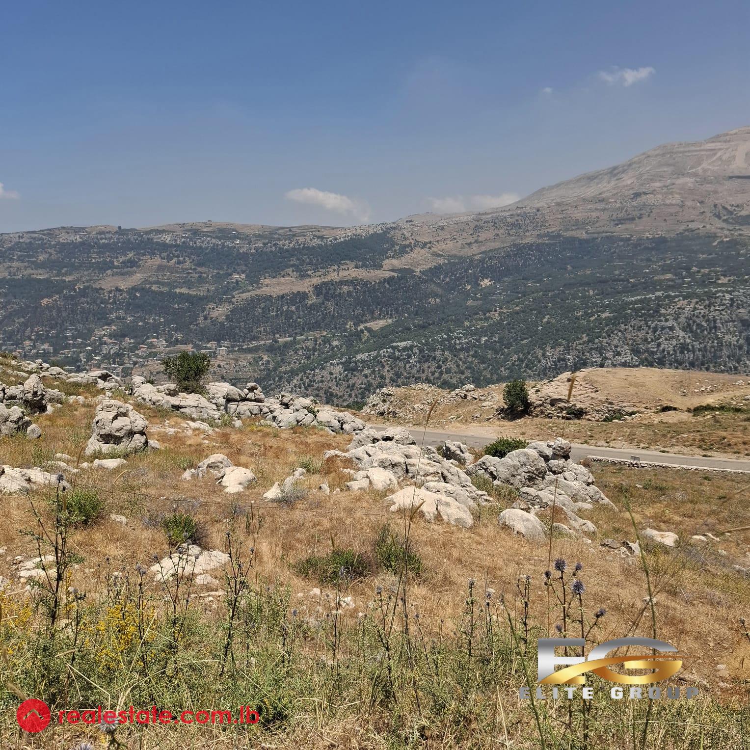 Land in zaarour- 25/50