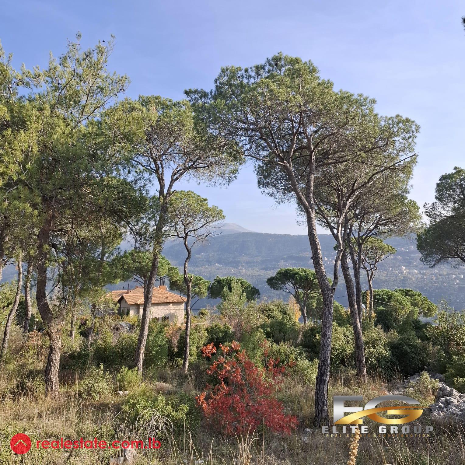 Land in Baabdat -20/40