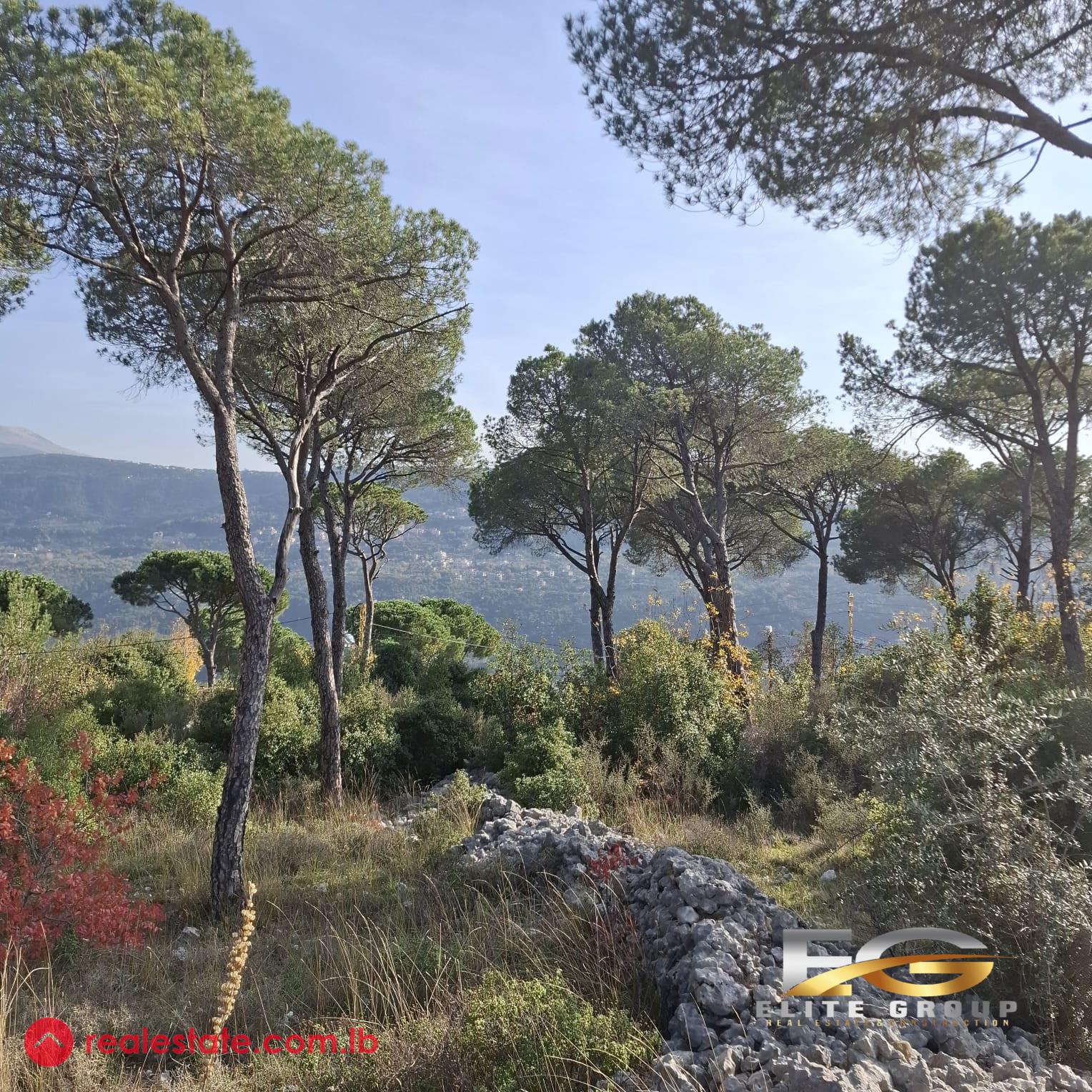 Land in Baabdat -20/40