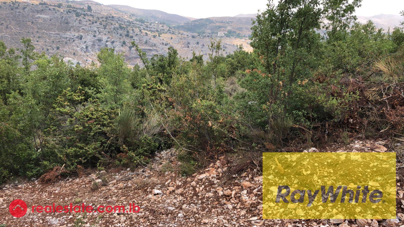 Land for Sale in Tarchich – 700 sqm | Subdivision Project – Road Access