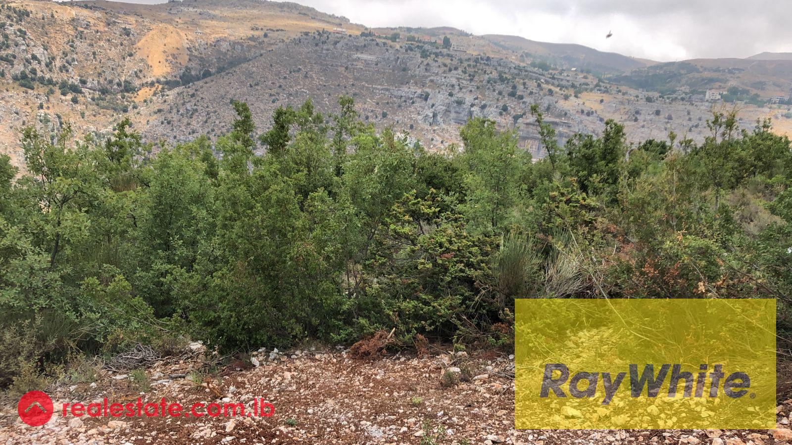 Land for Sale in Tarchich – 700 sqm | Subdivision Project – Road Access