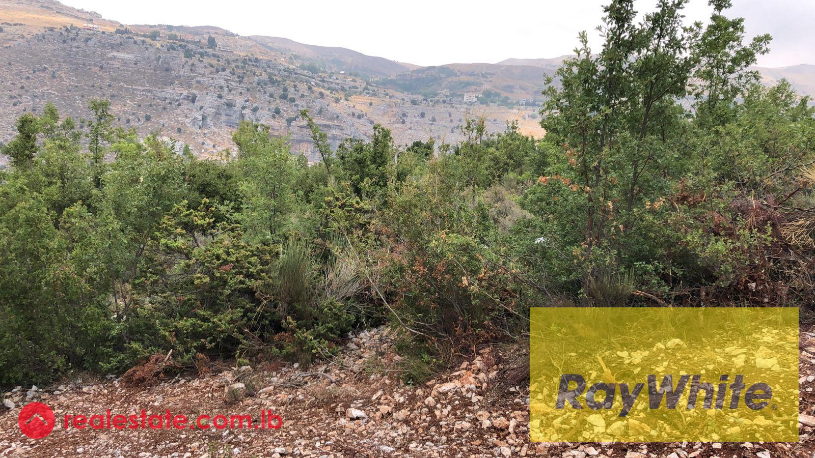 Land for Sale in Tarchich – 700 sqm | Subdivision Project – Road Access