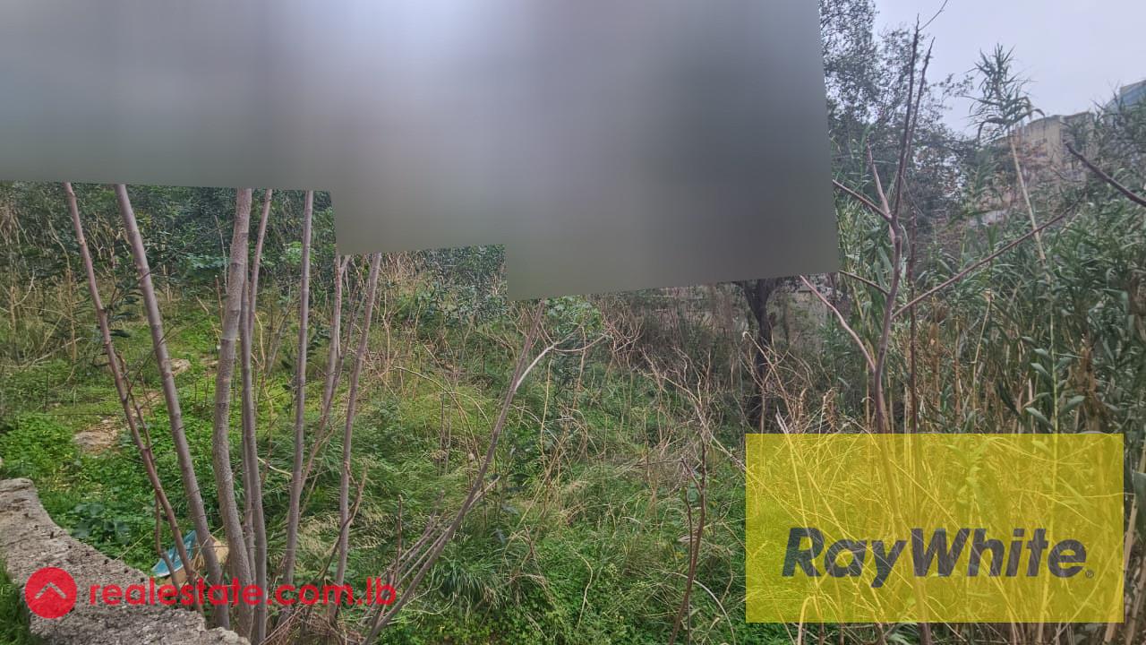 Land For Sale 750m2| Zone 40|120