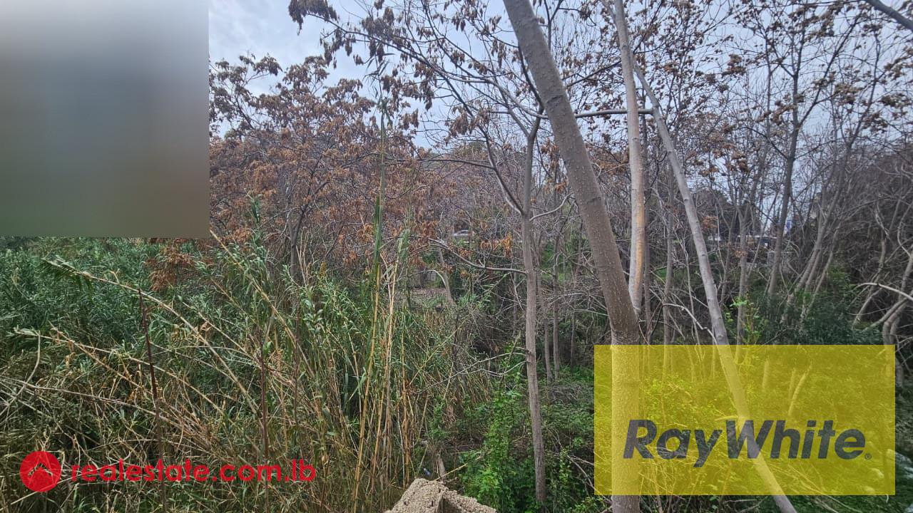 Land For Sale 750m2| Zone 40|120