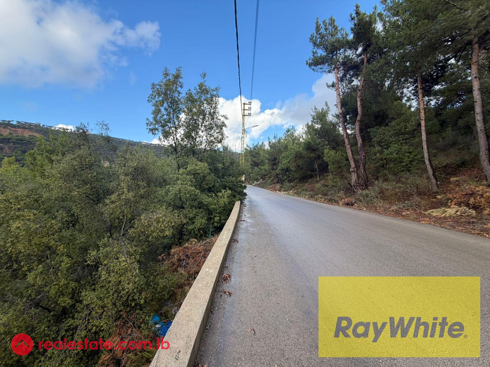Land for Sale in Mar Moussa – 1,000 SQM | Open View