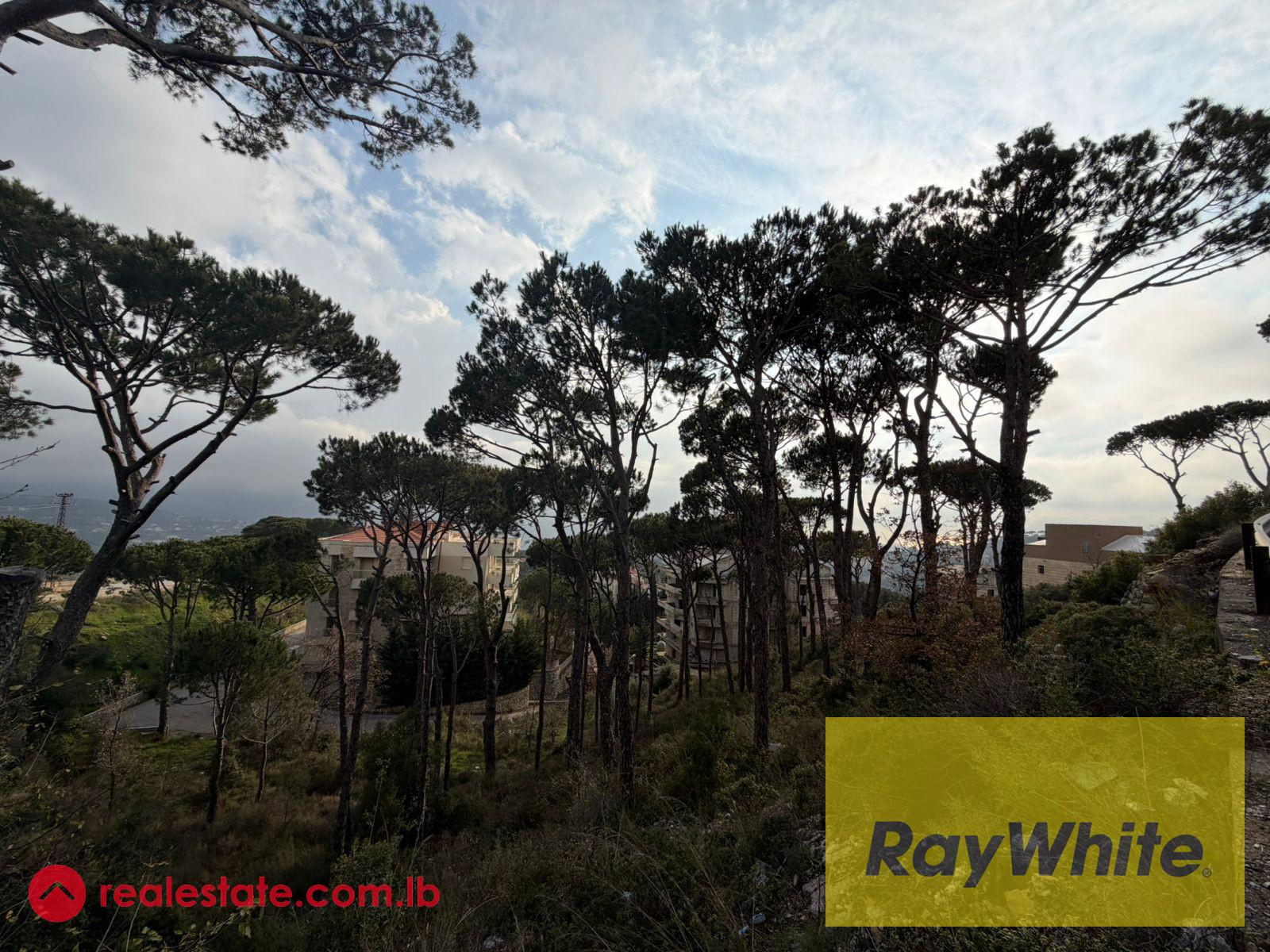 Land for Sale in Mar Moussa – 1,313 sqm