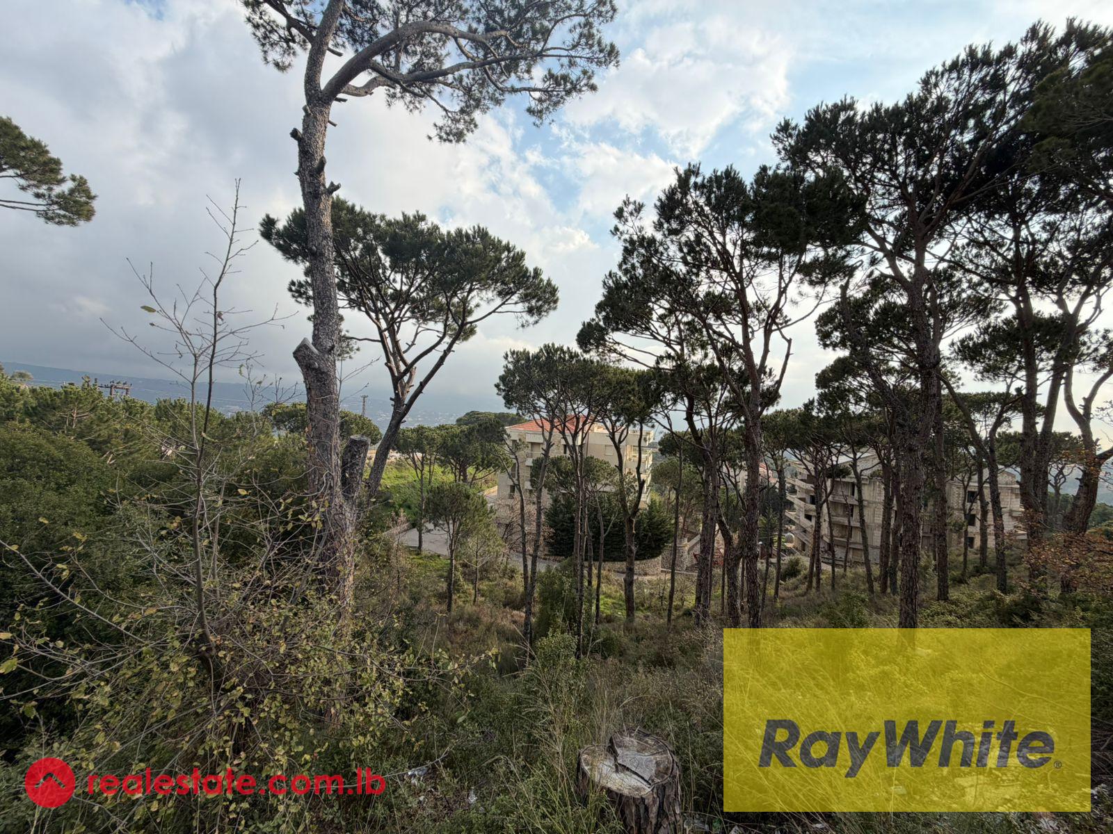 Land for Sale in Mar Moussa – 1,313 sqm