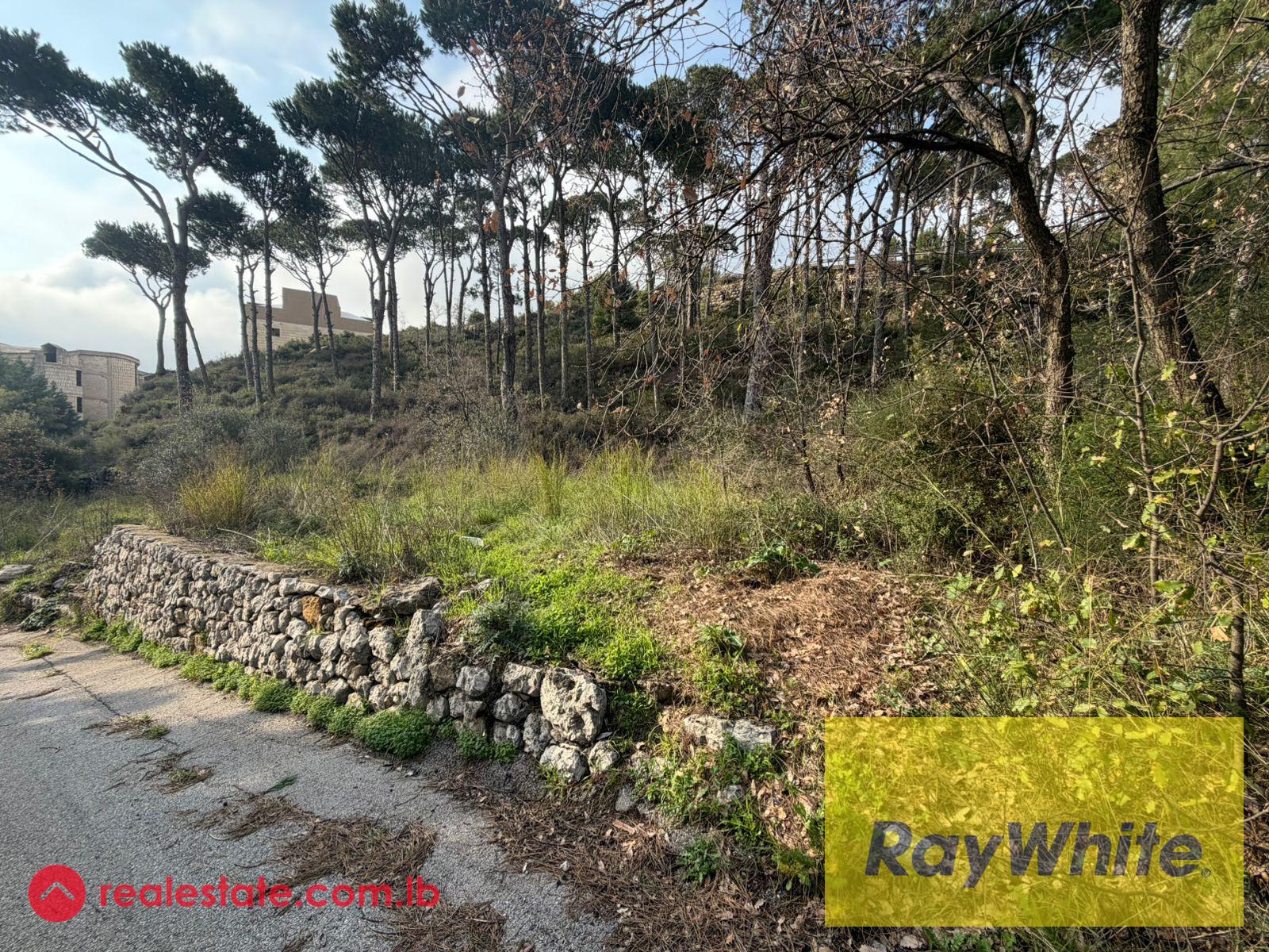 Land for Sale in Mar Moussa – 1,313 sqm
