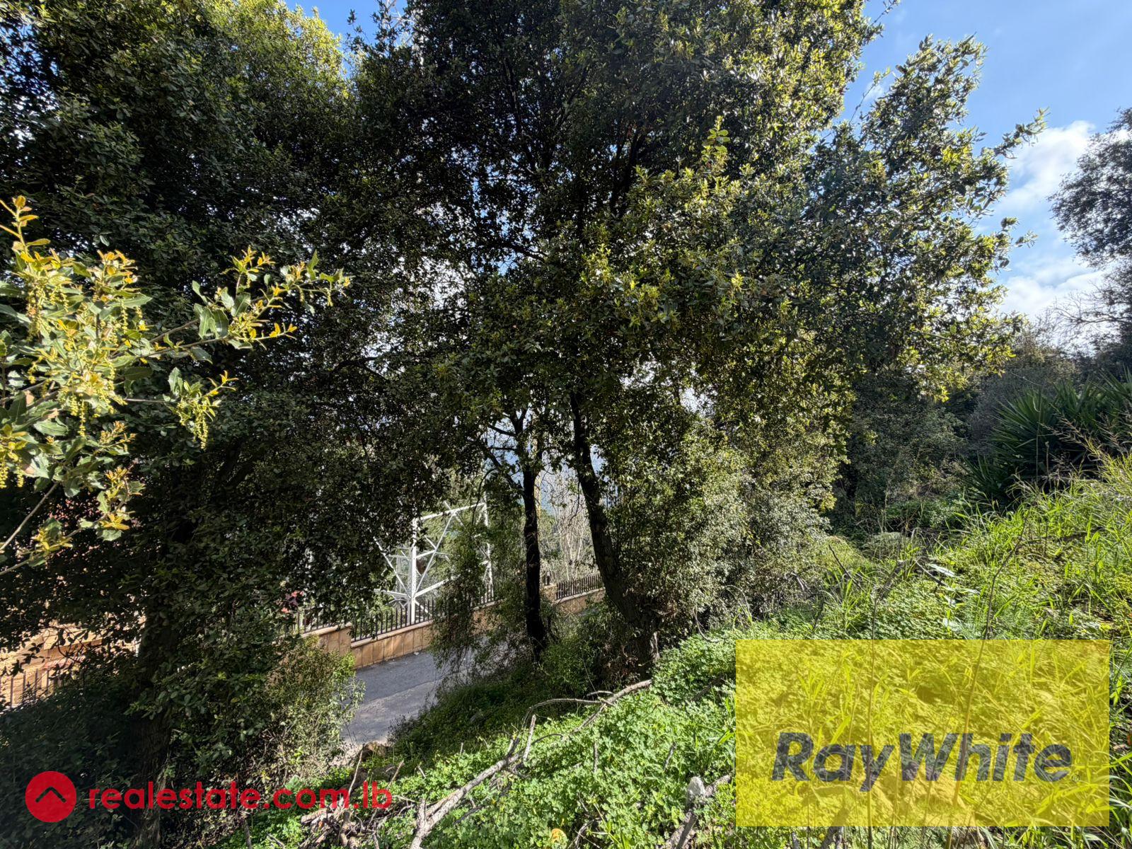Land for Sale in Beit Meri – Open Mountain View