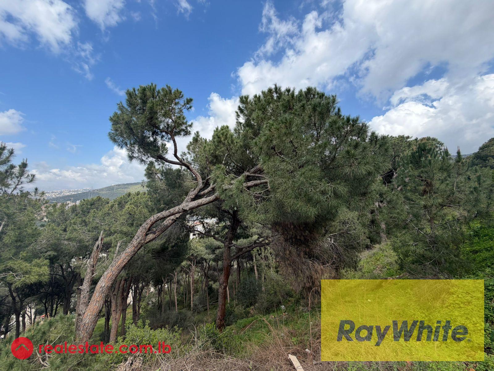Land for Sale in Ain Saadeh – Sea + Mountain View