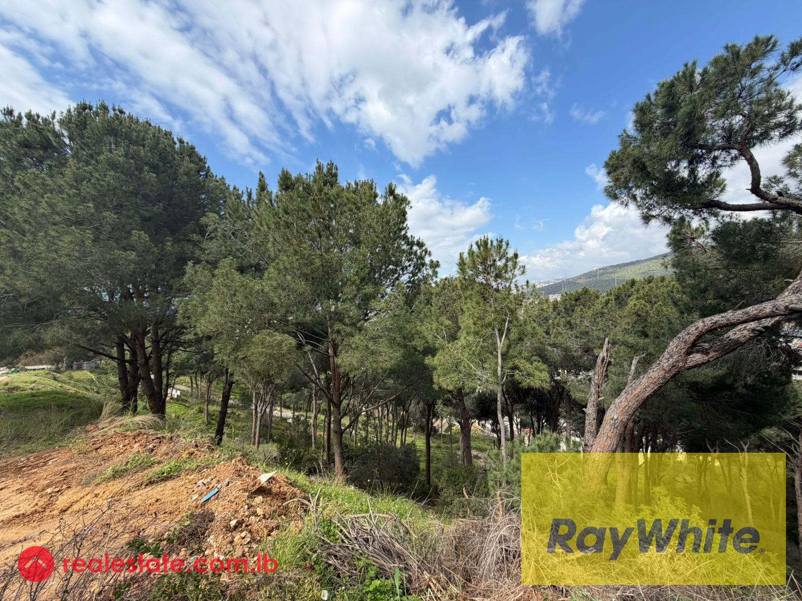 Land for Sale in Ain Saadeh – Sea + Mountain View