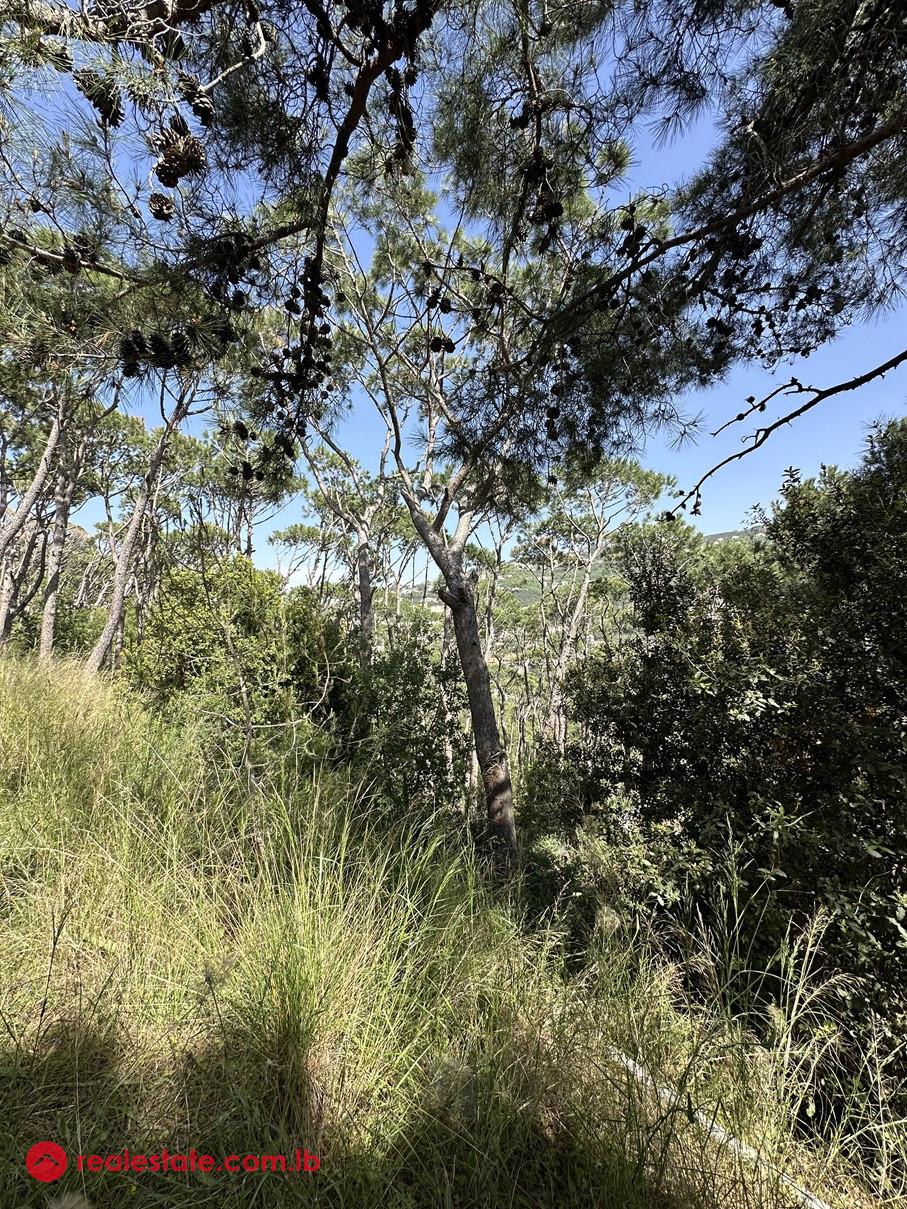 Land for Sale in Kornet Chehwan