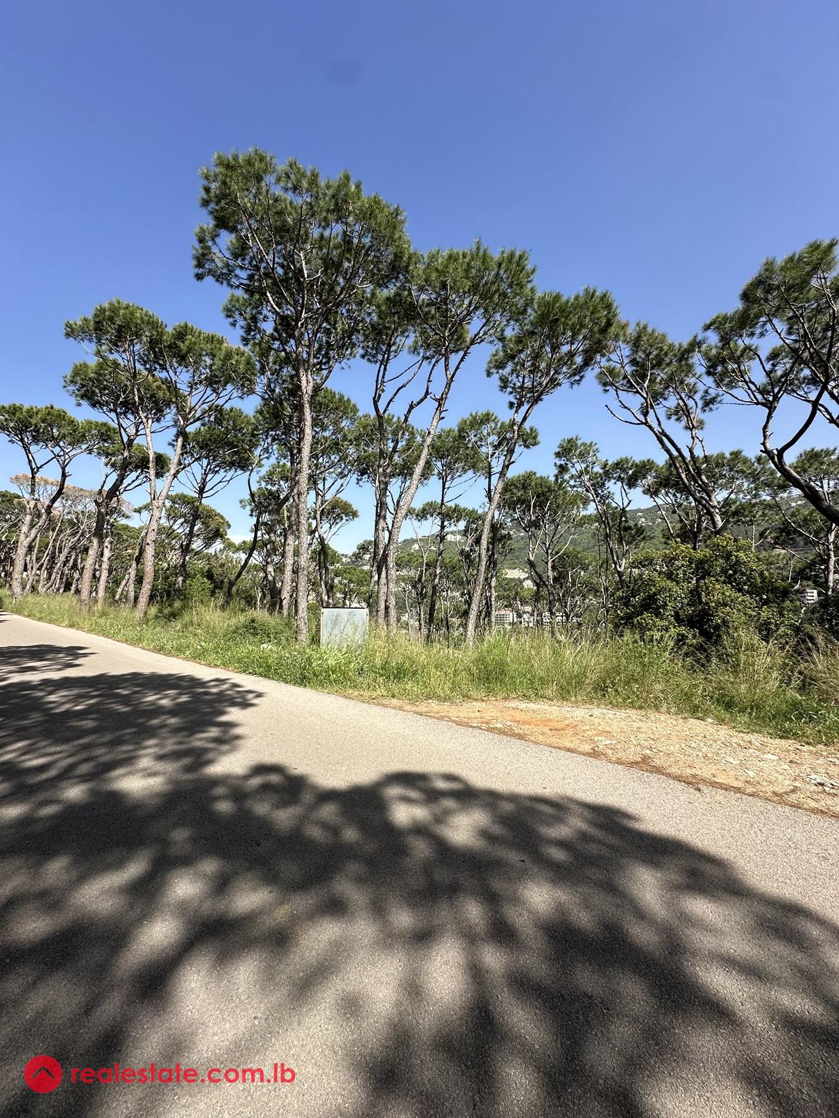Land for Sale in Kornet Chehwan