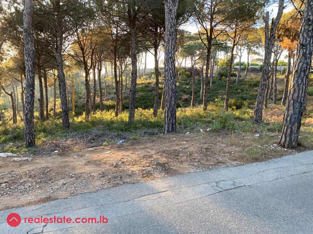 Exceptional 6,300 sqm Plot in Baabdath.