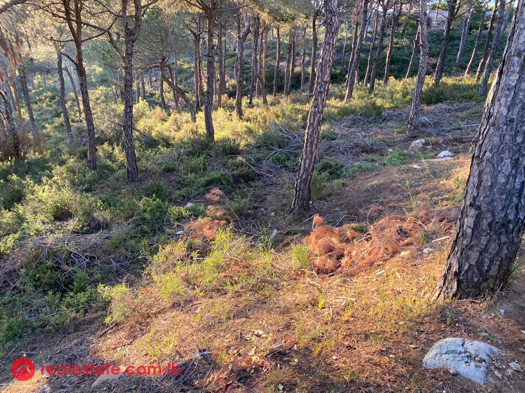 Exceptional 6,300 sqm Plot in Baabdath.