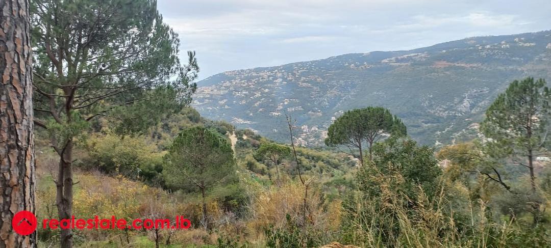 Exceptional Land in Chalimar Baabdat