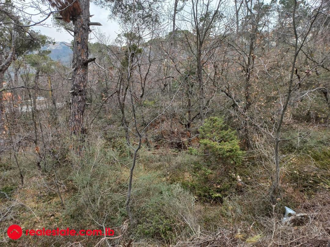 Exceptional offer.... 500sqm Land for 130,000USD