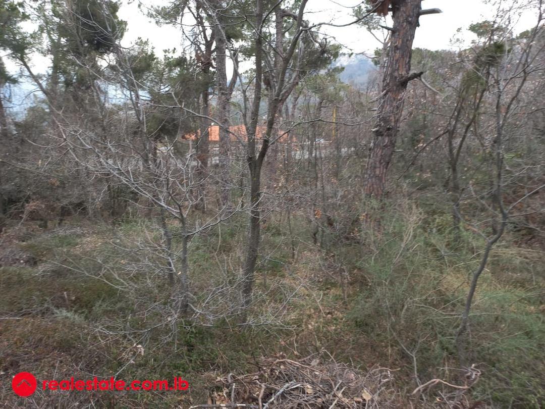 Exceptional offer.... 500sqm Land for 130,000USD