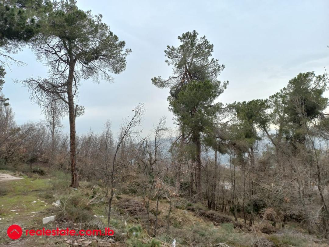 Exceptional offer.... 500sqm Land for 130,000USD