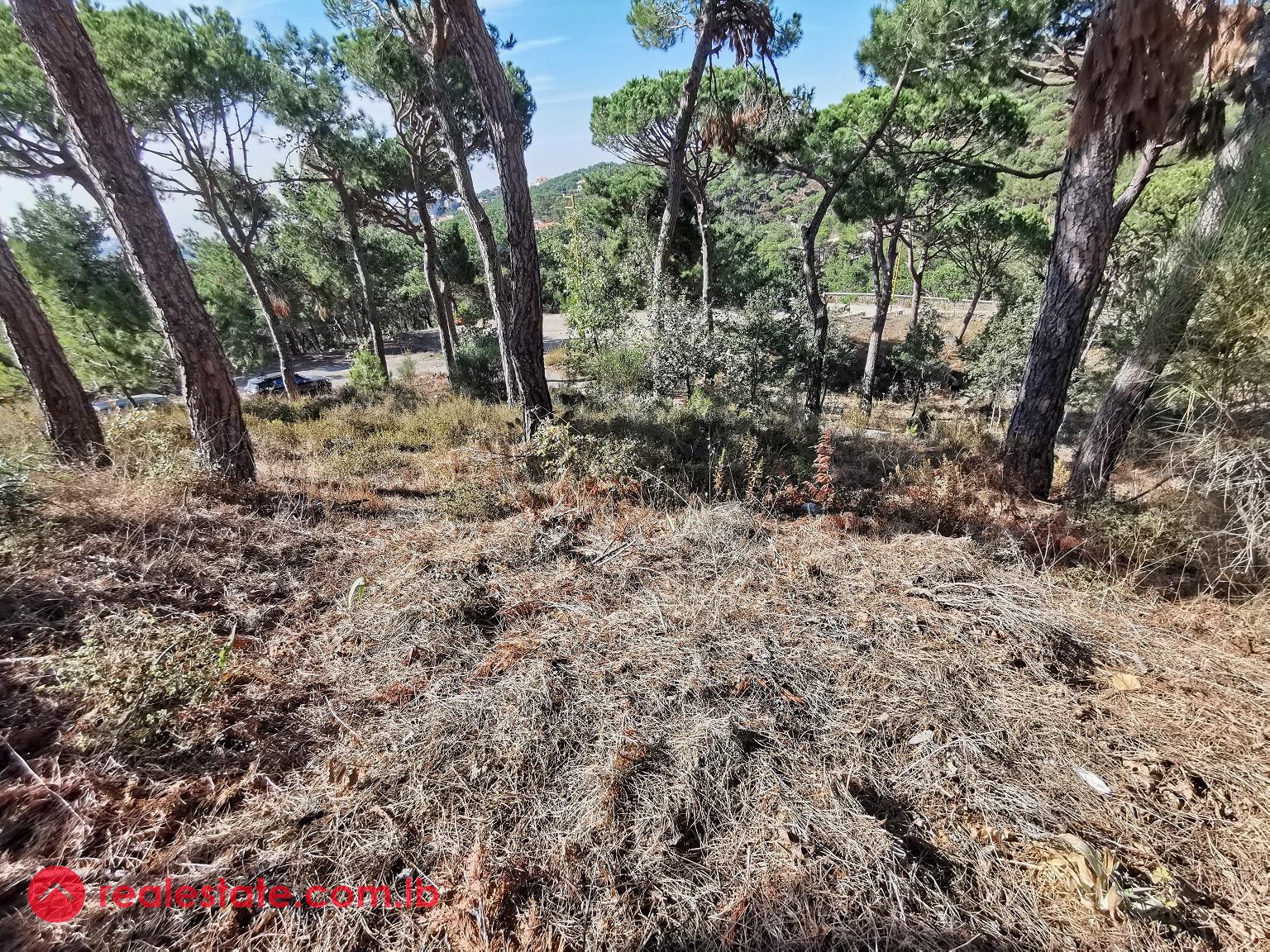 Land for Sale in Baabdat (Shalimar)
