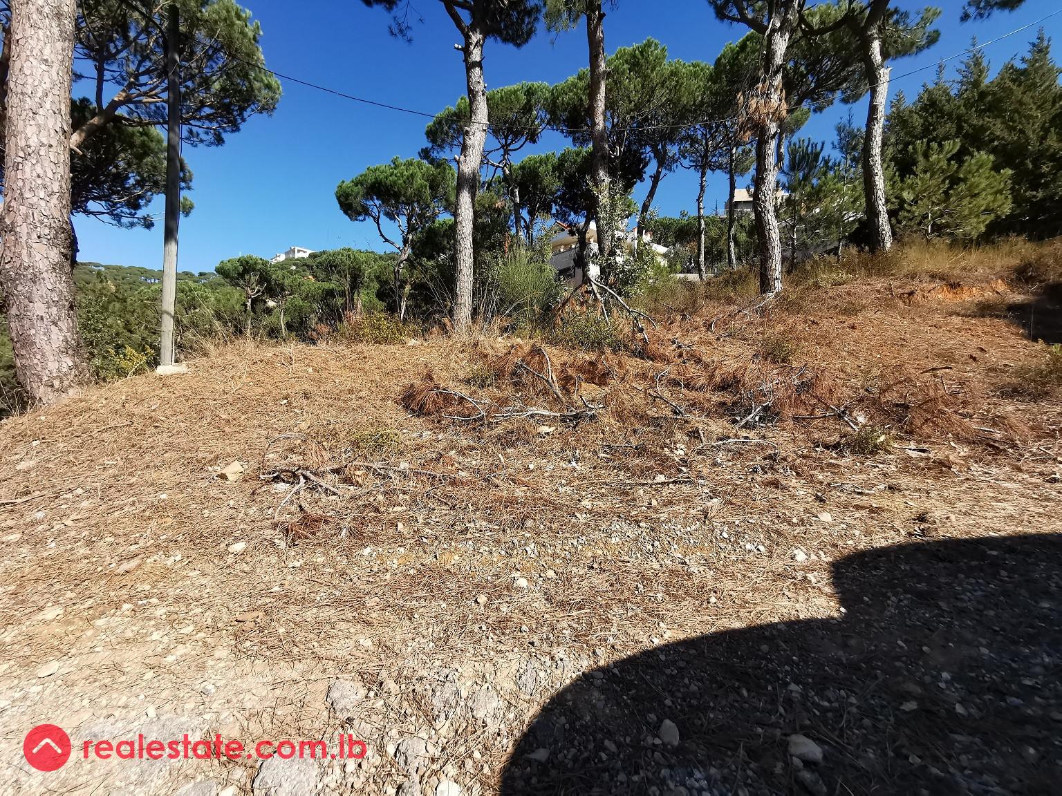 Land for Sale in Baabdat (Shalimar)