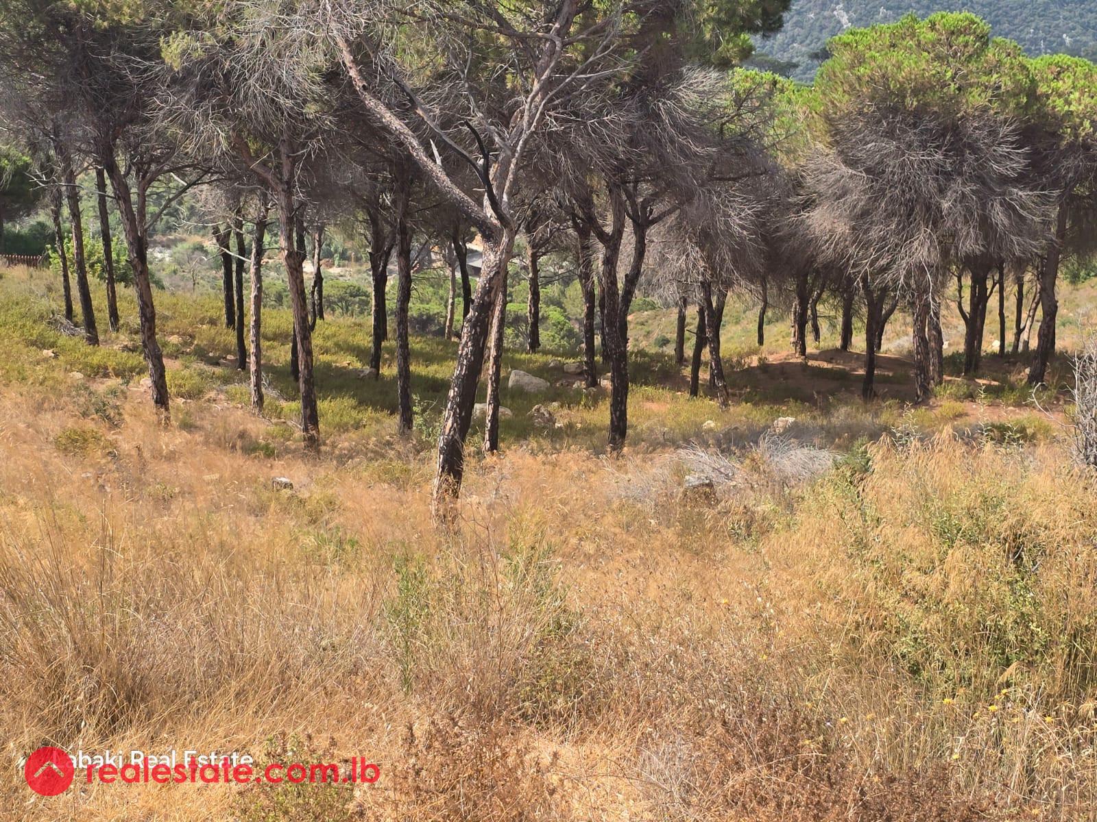 Prime Land for Sale in Baabdat – Excellent Investment Opportunity