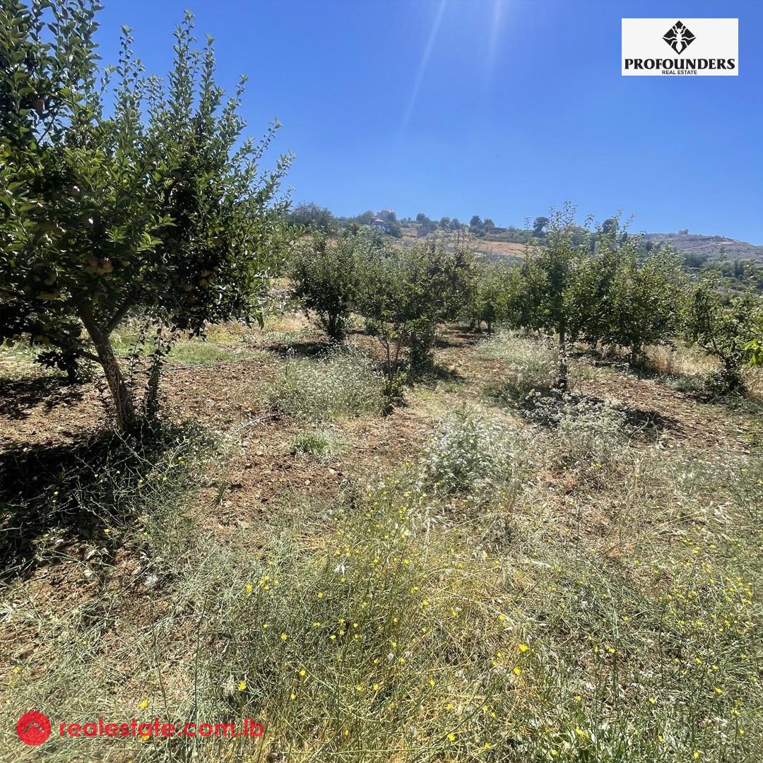 Land for sale in Zaarour