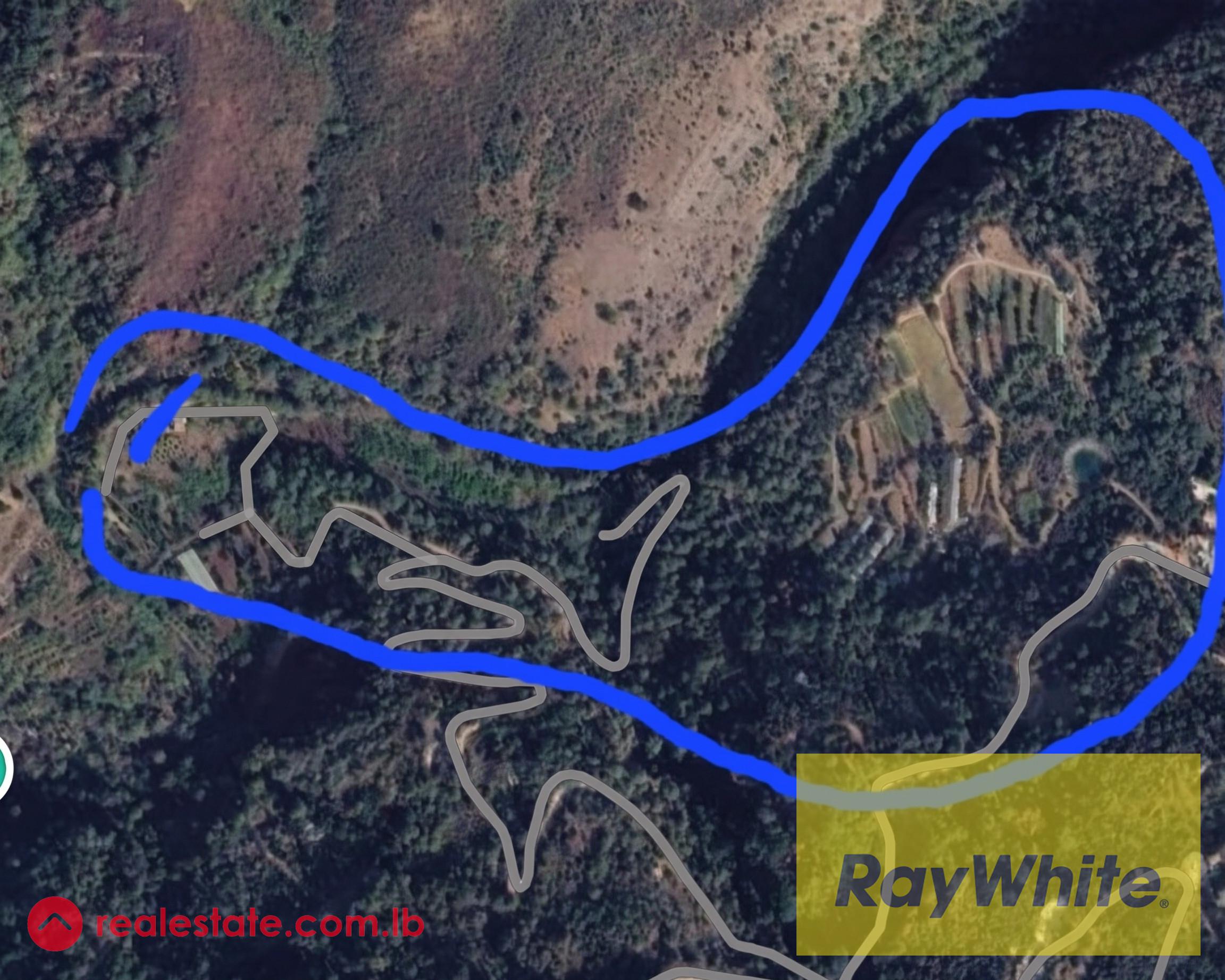 Land For Rent In Dmit , Chouf | investment Opportunity