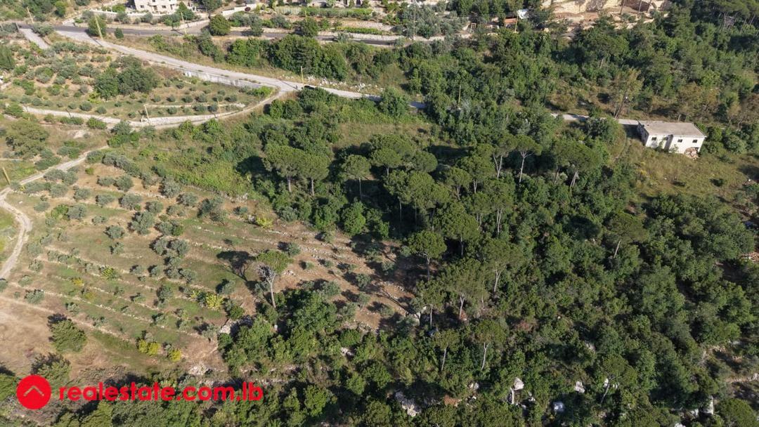 exceptional 11000 sqm land for sale in Aarbaniyeh