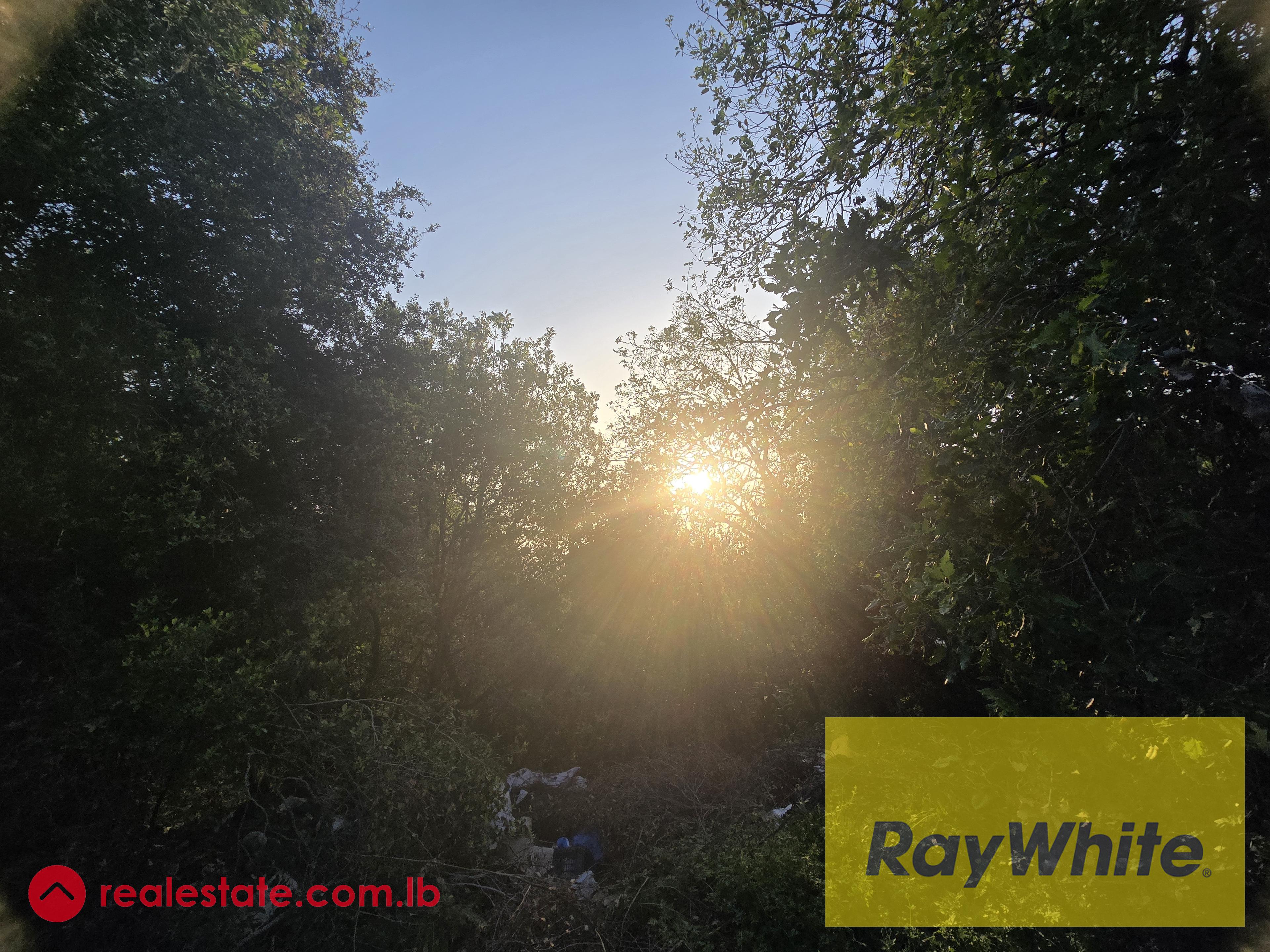 Land for Sale in Hbous, Cornet Chehwan – Prime Location