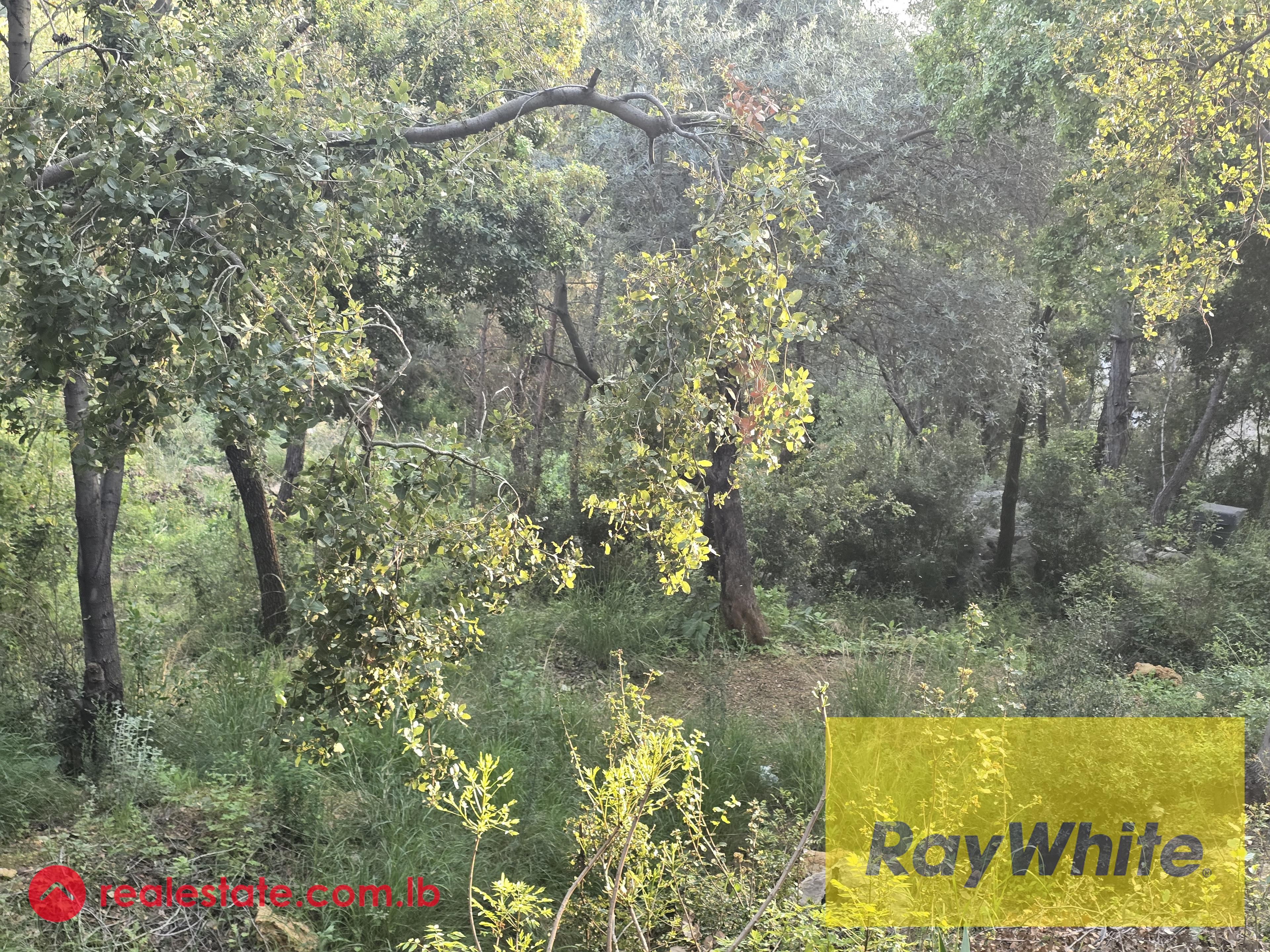 Land for Sale in Hbous, Cornet Chehwan – Prime Location
