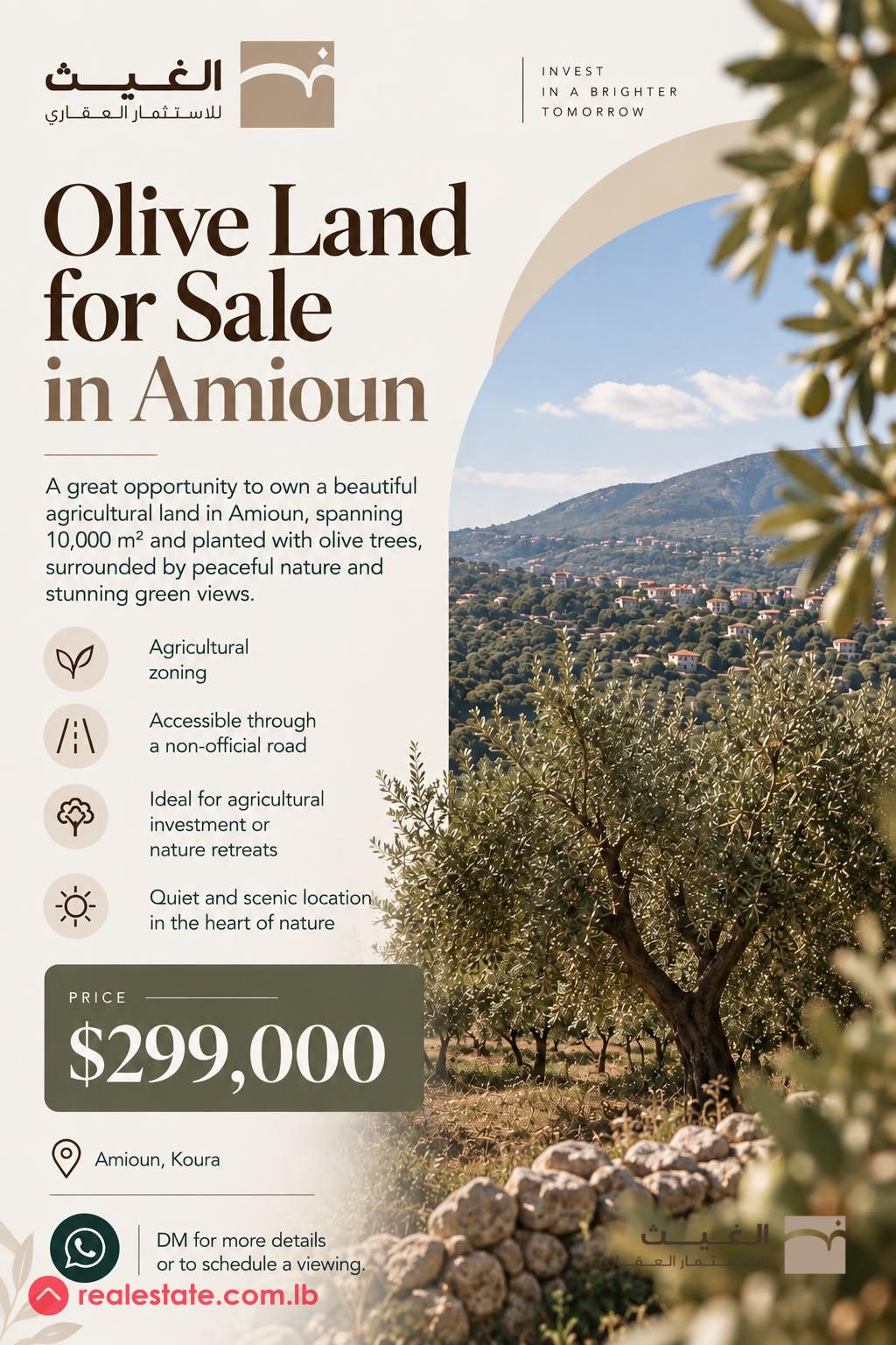Olive Land for Sale in Amioun – 10,000 m²