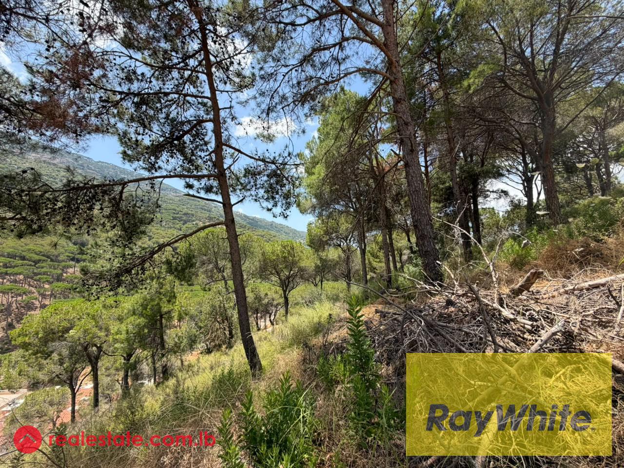 Land for Sale in Bsefrine | Mountain View