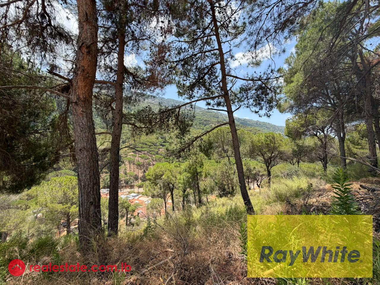 Land for Sale in Bsefrine | Mountain View