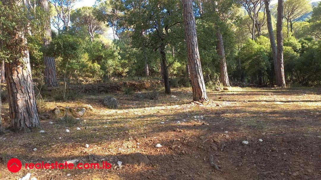 Prime Land for Sale in Bikfaya