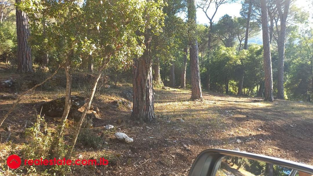 Prime Land for Sale in Bikfaya